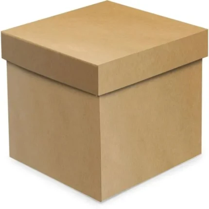 CX CUBO KRAFT GG 19X19X19 C/1 UN